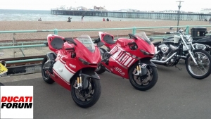 2 ducati rat bikes!!!!