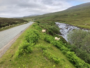 Scotland Roads and Views - June19