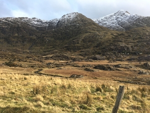 Balligahseen