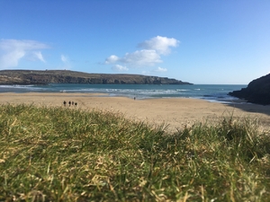 Barleycove, Mizen