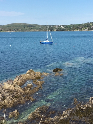 Schull Harbour