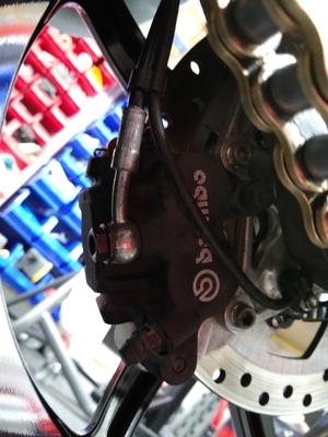 Rear Brake Caliper - Sprocket Side