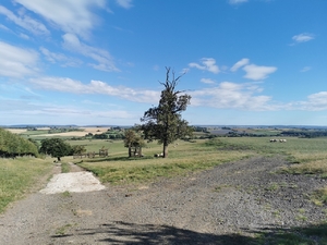 Beautiful fields near OYB