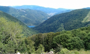 Alsace region of france. Excellent roads for spirited riding!