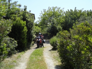 The road to our Chambres at Arles