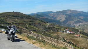 Douro Vineyards