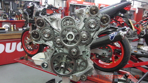 Moto GP engine