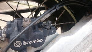 rear brake banjo